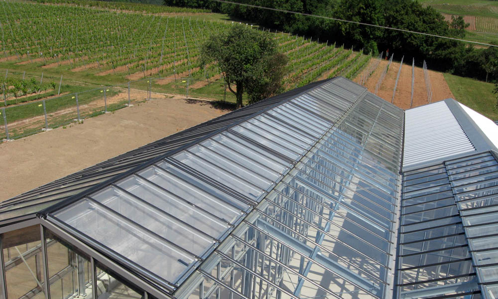 Julius-Kühn-Institut, Geilweilerhof, Siebeldingen